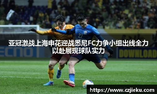 evo视讯官网